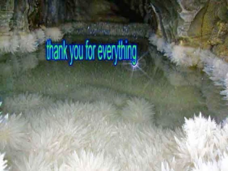 736x552