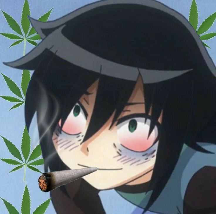 736x731