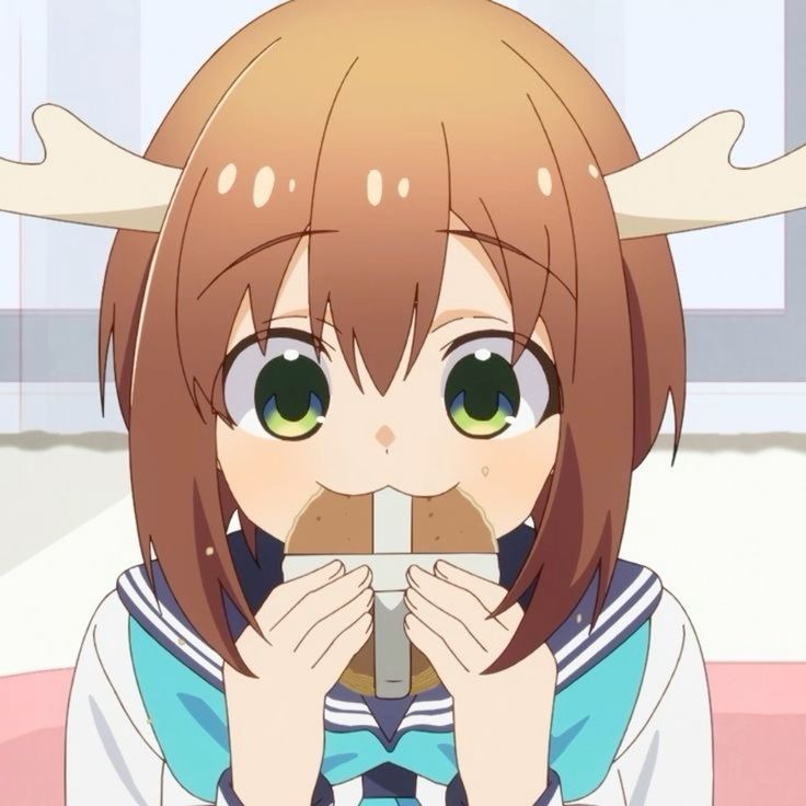 736x736