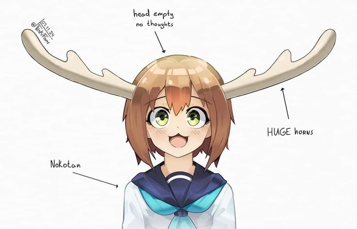 736x472