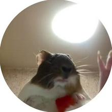360x360