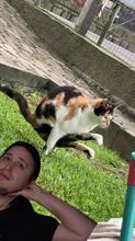 480x854