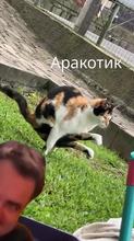 480x854