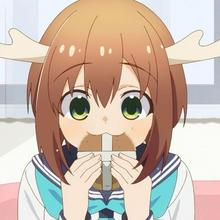 736x736