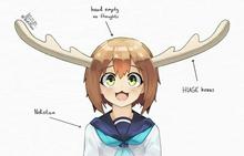 736x472