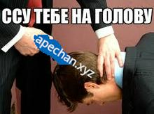 259x194