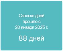 446x359