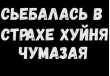 251x174