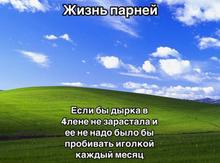1206x896