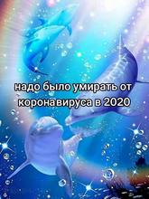 960x1280