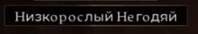 299x53