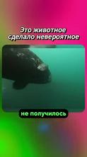 360x640