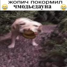 720x720