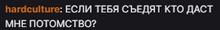 298x41