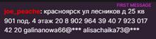 317x81