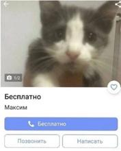 1034x1280