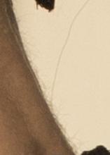 596x832