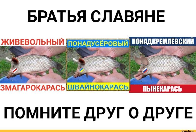 800x542