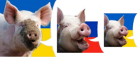 200x81