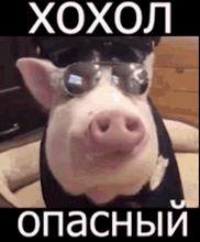 530x640