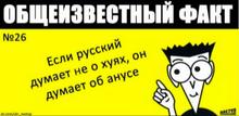 400x195