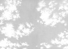 2194x1600
