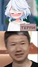 589x1017